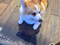 -肥朵食堂(带梦胡同店)