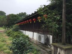 -阮氏酒家(柯桥店)