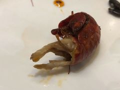 -丽彩天祺酒店-自助餐厅