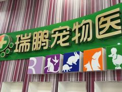 -瑞鹏·疫苗·绝育·宠物医院(金沙洲店)