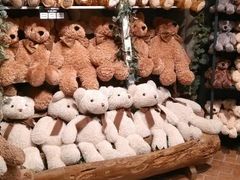 android_upload_pic-济州岛泰迪熊博物馆