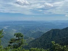 -东天目山风景区