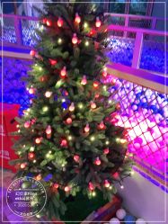 -幻贝家儿童乐园(苏州中心店)