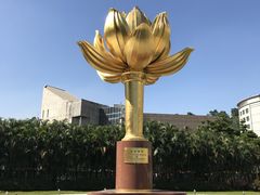 -金莲花广场