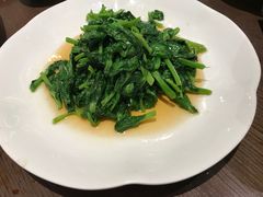 -张生记(丁香国际店)