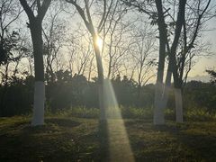 -飞凤山奥体公园