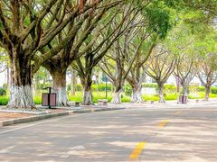 -南沙天后宫景区