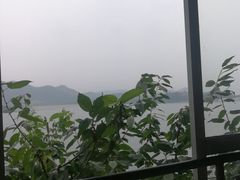 -望湖烤鱼