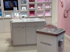 -Pandora潘多拉珠宝(宝山万达广场店)