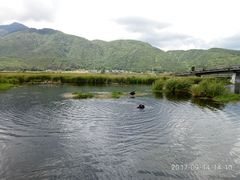 -腾冲北海湿地