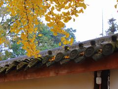 -金堂县云顶石城风景区