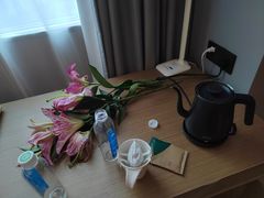 -东莞海悦花园大酒店(厚街万达广场寮厦地铁站店)