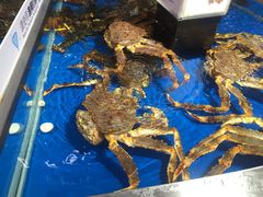 -盒马鲜生(莱蒙都会店)