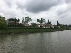 -嘉定紫藤园