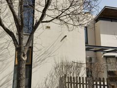 -天津东丽湖风景区