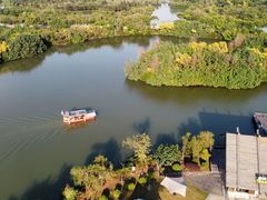 -大湾区中央湿地公园