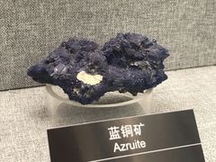 -甘肃地质博物馆