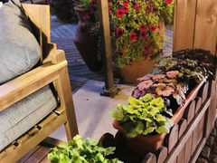 -JF Garden(渔人码头店)