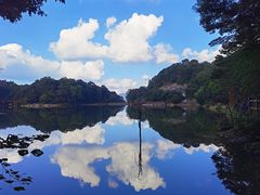 -广州市石门国家森林公园