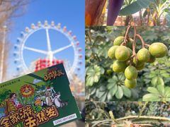 -北戴河集发农业梦想王国