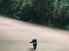 -敬亭山风景名胜区