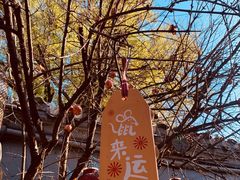 -四喜小胖·北京涮肉(五道营店)