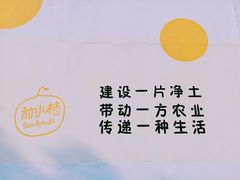 -前小桔亲子创意农场·草莓采摘·露营烧烤