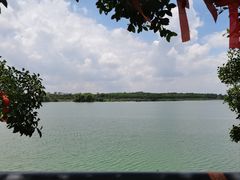 -扬美古镇景区
