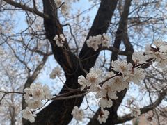 -吉林大学(前卫南区)