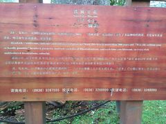 景点-燕子沟风景区