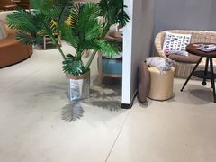 -藏猫猫咖啡主题馆(中央大道店)