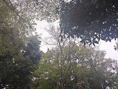 -深圳湾公园(南山区)