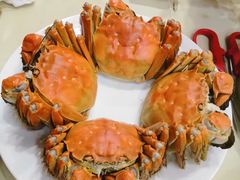 -王宝和酒家(黄浦店)