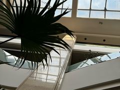-大书房咖啡(中传国交店)