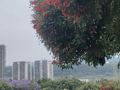 -泸州白糕(慈善路店)