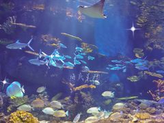 -华夏文旅海洋公园