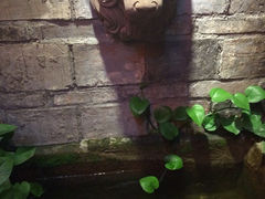 iphone_upload_pic-佬革命主题火锅(玉沙路店)