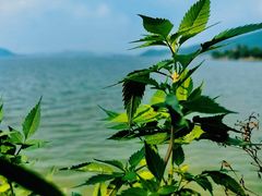 -东钱湖旅游度假区