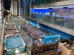 -龙溪海鲜酒家(溪涌店)