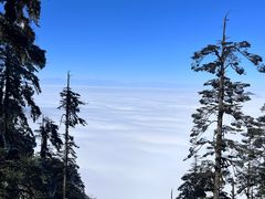 -瓦屋山景区