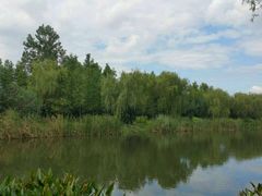 -新江湾城公园