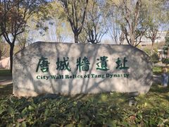 -唐城墙遗址公园