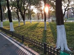 -海珠湖公园