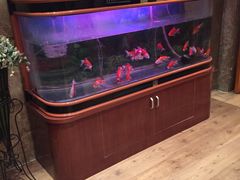 -新碧水留香新桑拿