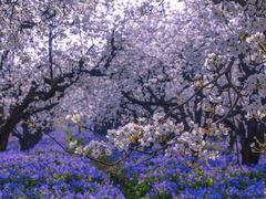 -江苏三台山国家森林公园