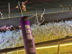 -南宁花花大世界景区