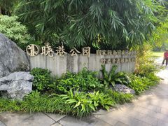 -晓港公园