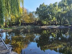 -玲珑塔公园