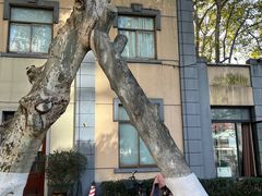 -颐和路民国时期公馆风貌区