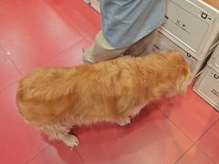 -和它·交个朋友·狗咖猫咖(爱琴海店)
